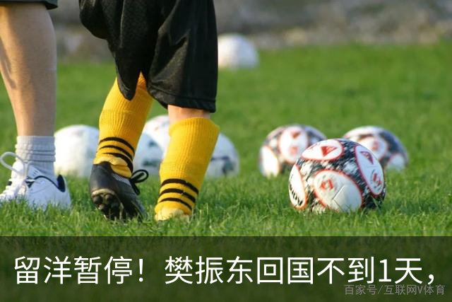 留洋暂停！樊振东回国不到1天，正式官宣新身份，终于等到这一天