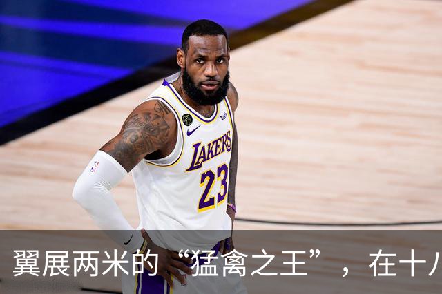 翼展两米的“猛禽之王”，在十八里长峡被拍到了