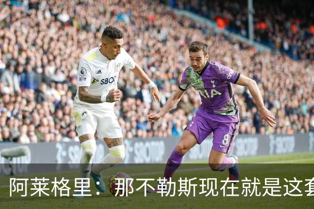 阿莱格里：那不勒斯现在就是这套阵容，球员各自特点不同