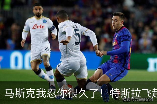 马斯克我忍你很久了！特斯拉飞起来了，我们还在争论断轴