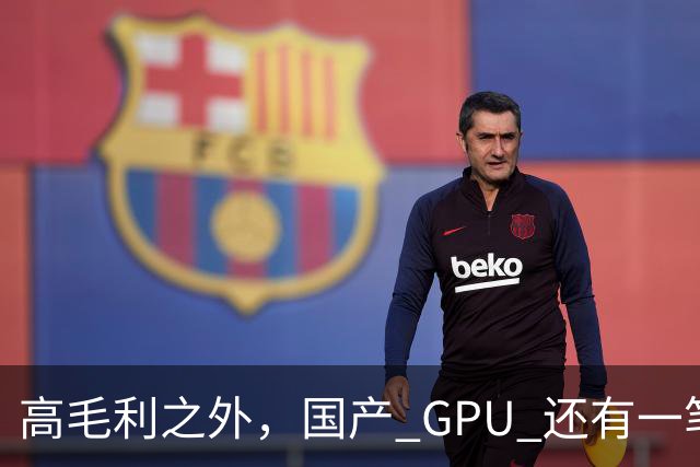 高毛利之外，国产 GPU 还有一笔 “软件账”